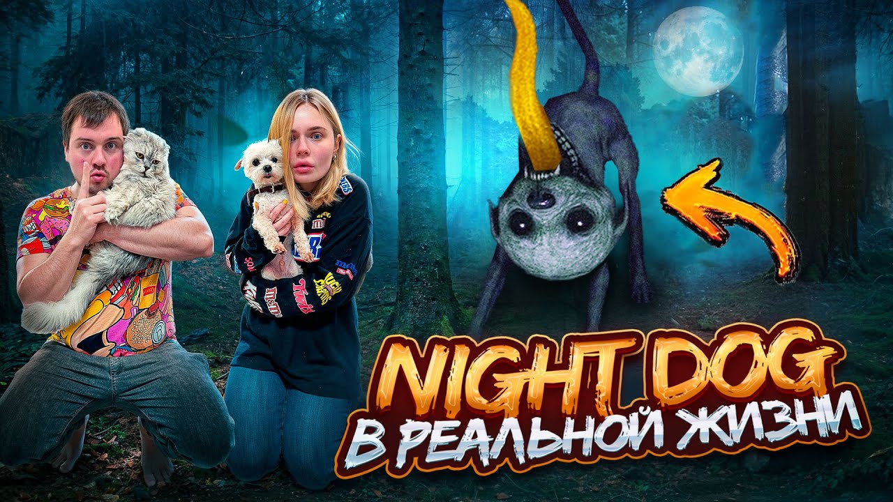 NIGHT DOG В РЕАЛЬНОЙ ЖИЗНИ | 24 ЧАСА В ЗАБРОШЕННОМ ЛЕСУ