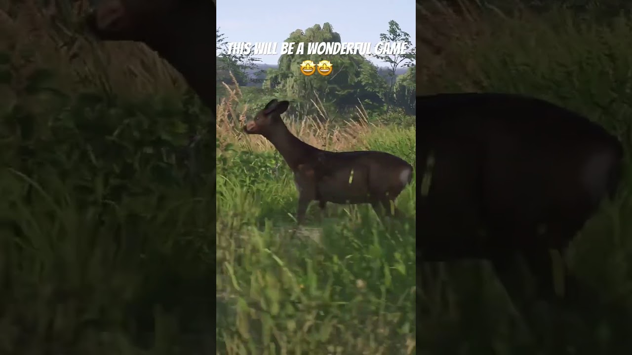 this will be a wonderful game 🤩🤩 