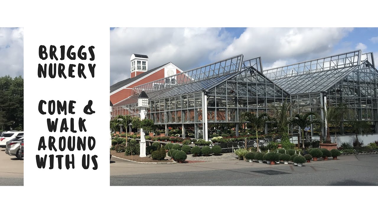 Briggs Nursery - Walk Around With Us