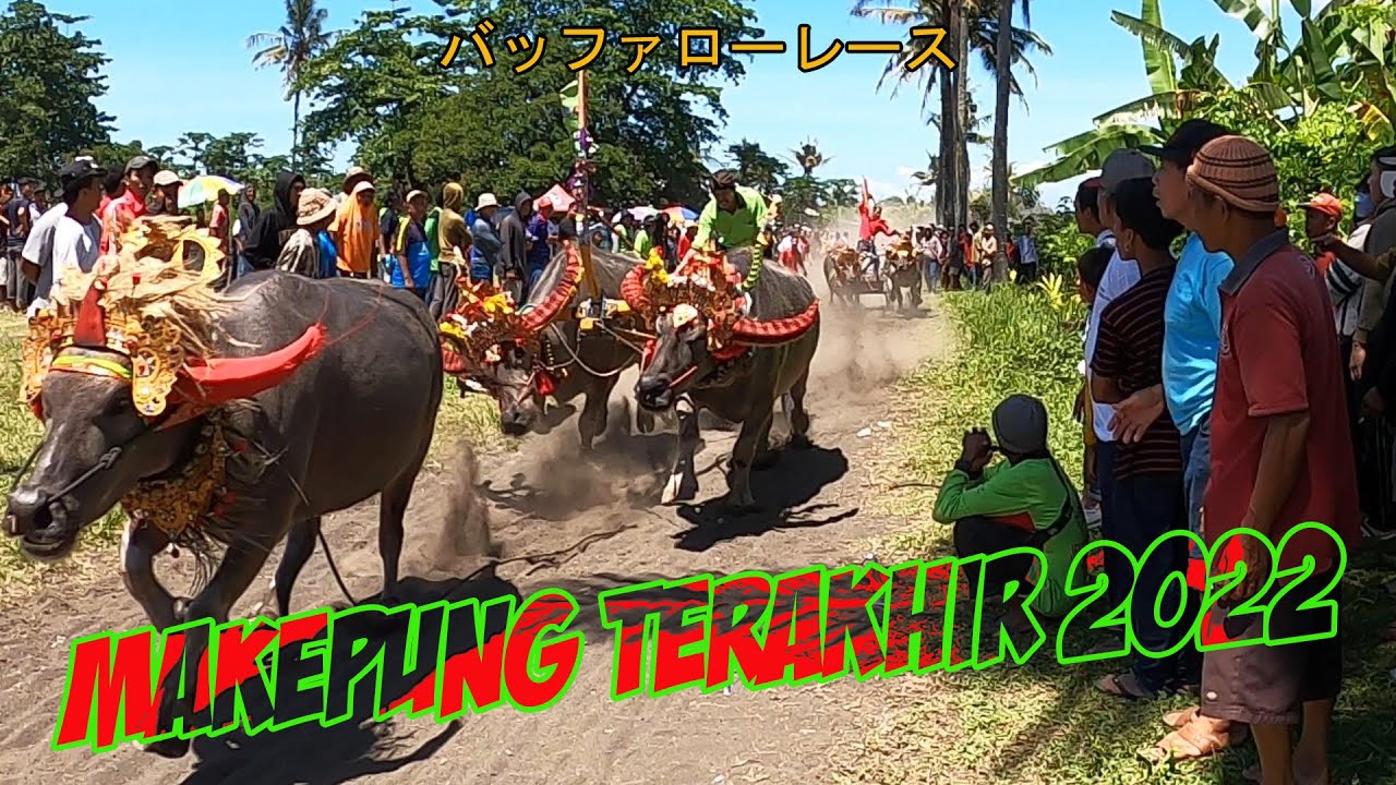 MAKEPUNG DLODBRAWAH JEMBRANA CUP2022 PART 2