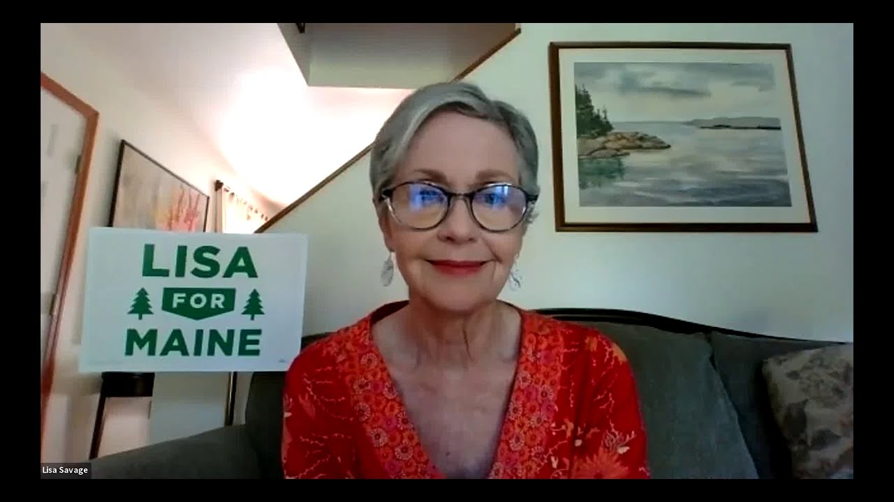 Lisa for Maine: Medicare for All webinar with Dr. Margaret Flowers, Dr. Bill Clark and Glenn Simpson