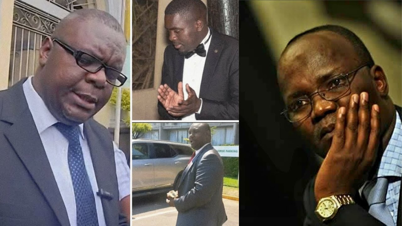JONATHAN MOYO AND ZIYAMBI CONSTITUTIONAL COUP NOW ON SHAKY GROUND AS LAWYER PULLS OUT