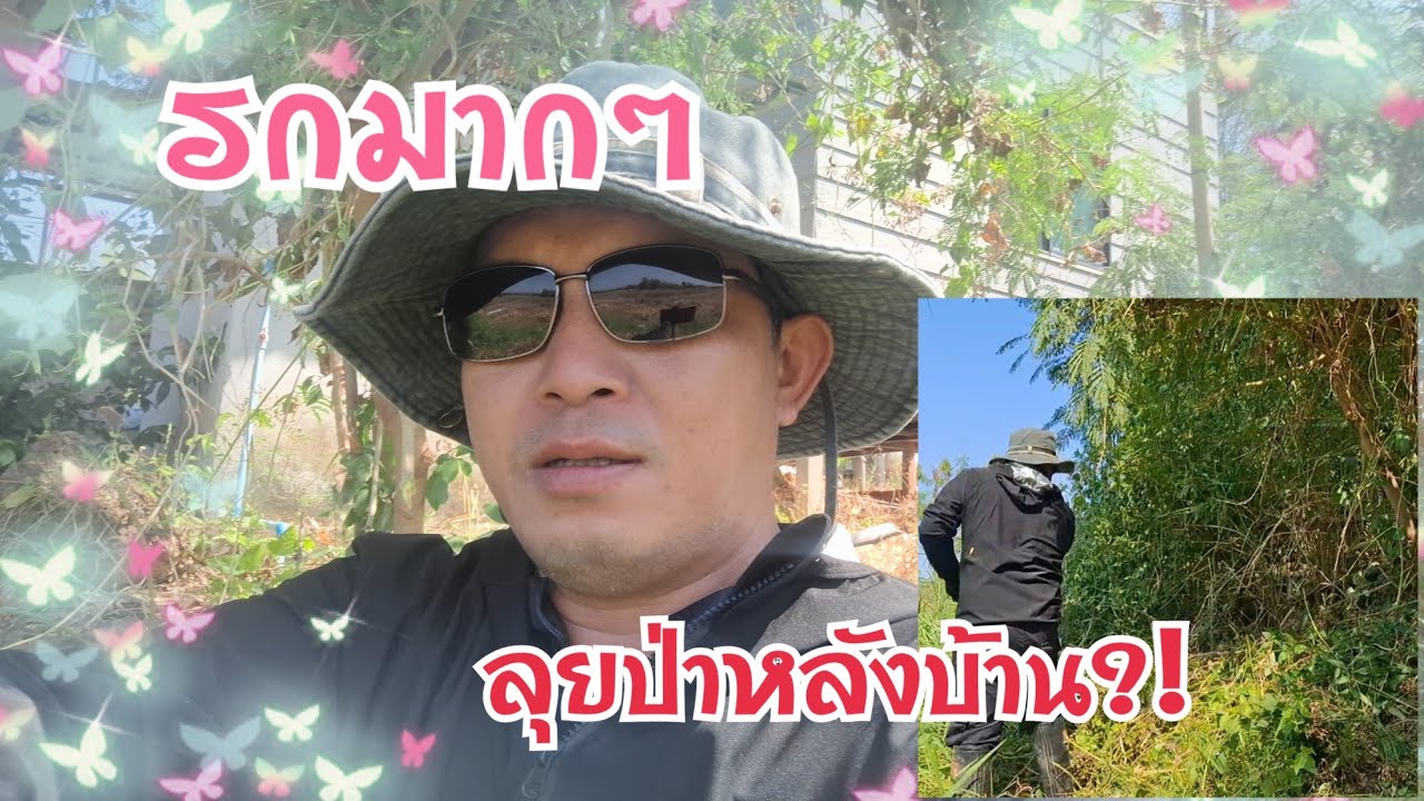 เข้าป่าหลังบ้านรกมากๆต้องทำลาย
