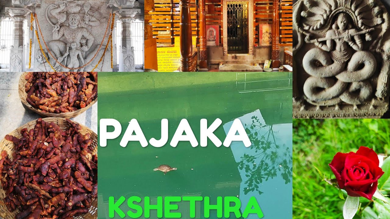 Pajaka kshethra, divine home of sree Madhavacharya
