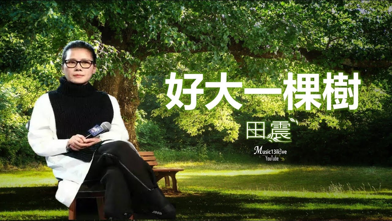 🌏 田震《好大一棵樹》風雨中你昂起頭  冰雪壓不服  &hearts; ♪♫*&bull;