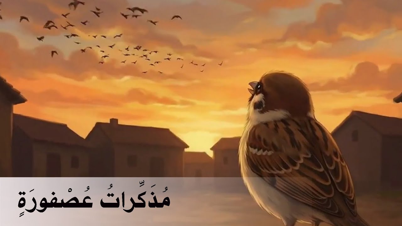 حكاية : مُذَكِّراتُ عُصْفورَة - المستوى الثالث - المدرسة الرائدة