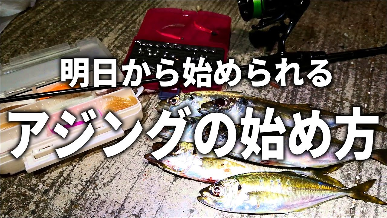 初心者でもすぐ釣れる！簡単アジングの始め方を、実際に釣りながら解説します。