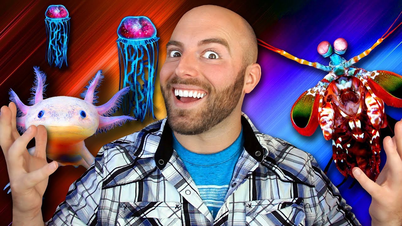10 INCREDIBLE ANIMALS With Real Life SUPERPOWERS!