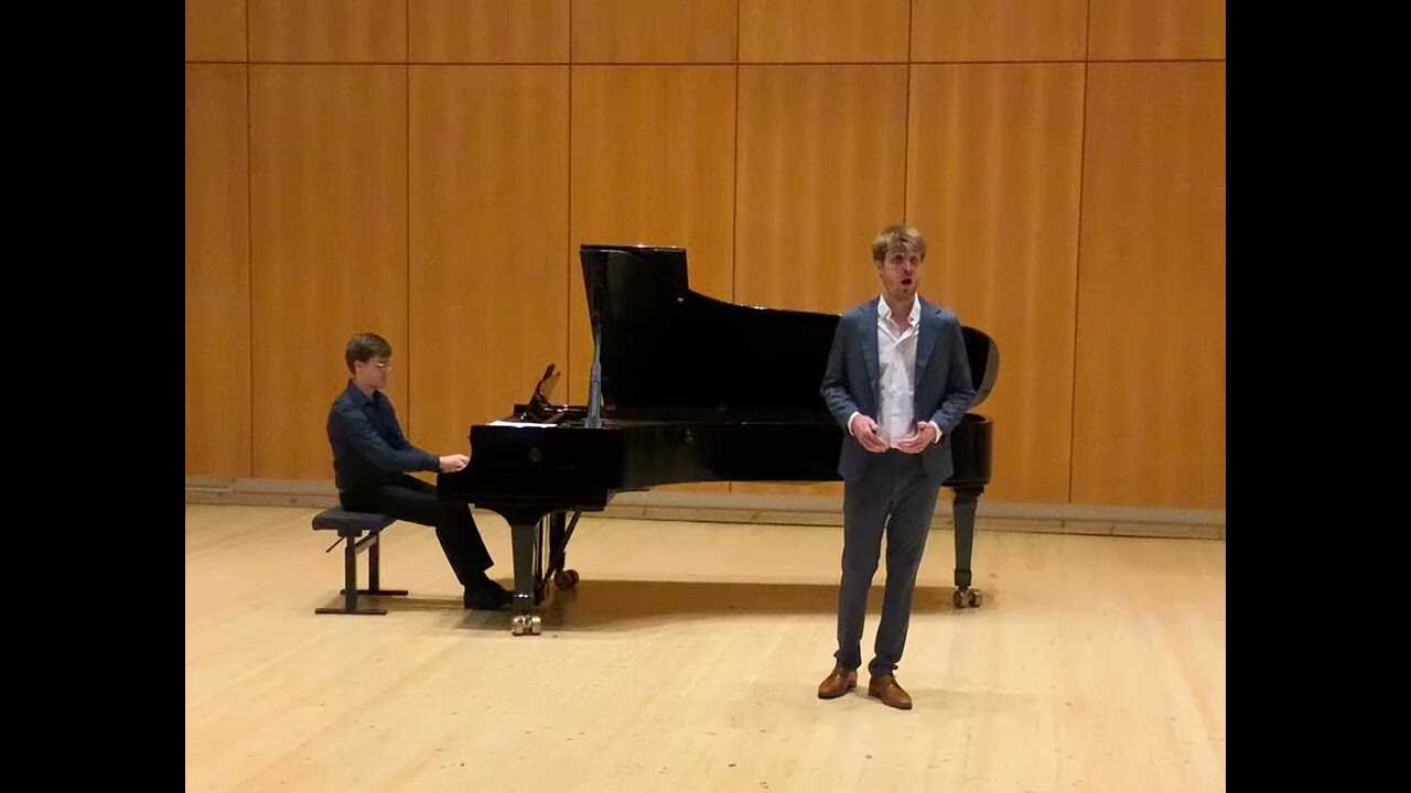 Air de Wolfram « O du mein holder Abendstern… » Tannhaüser, Wagner