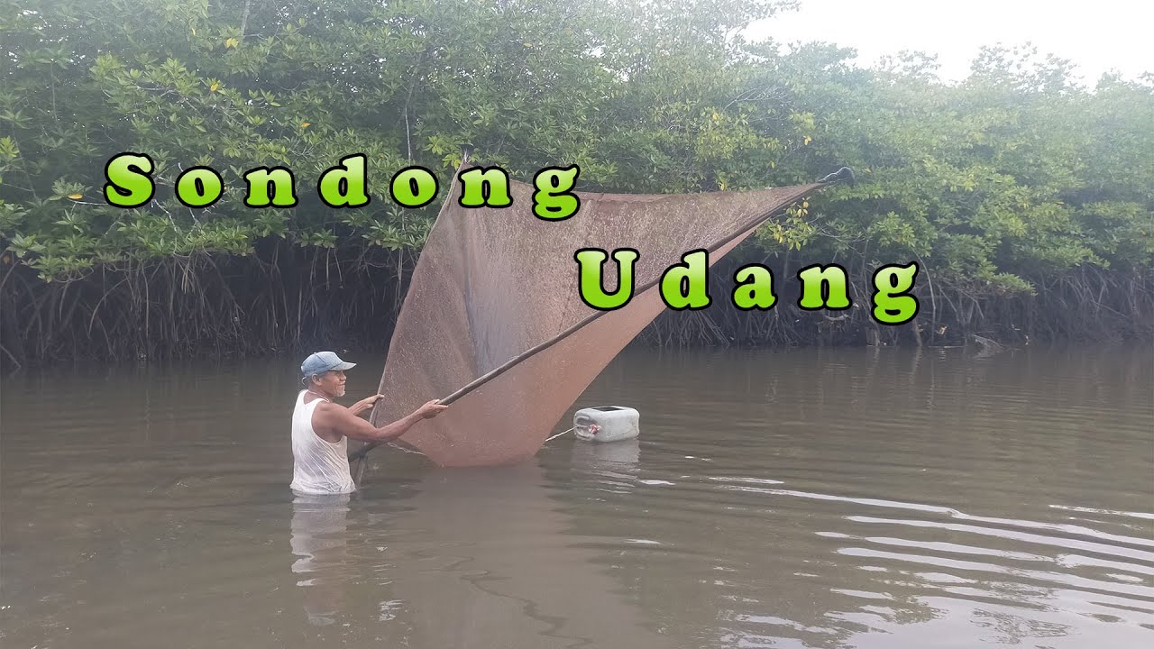 sondong udang pepai