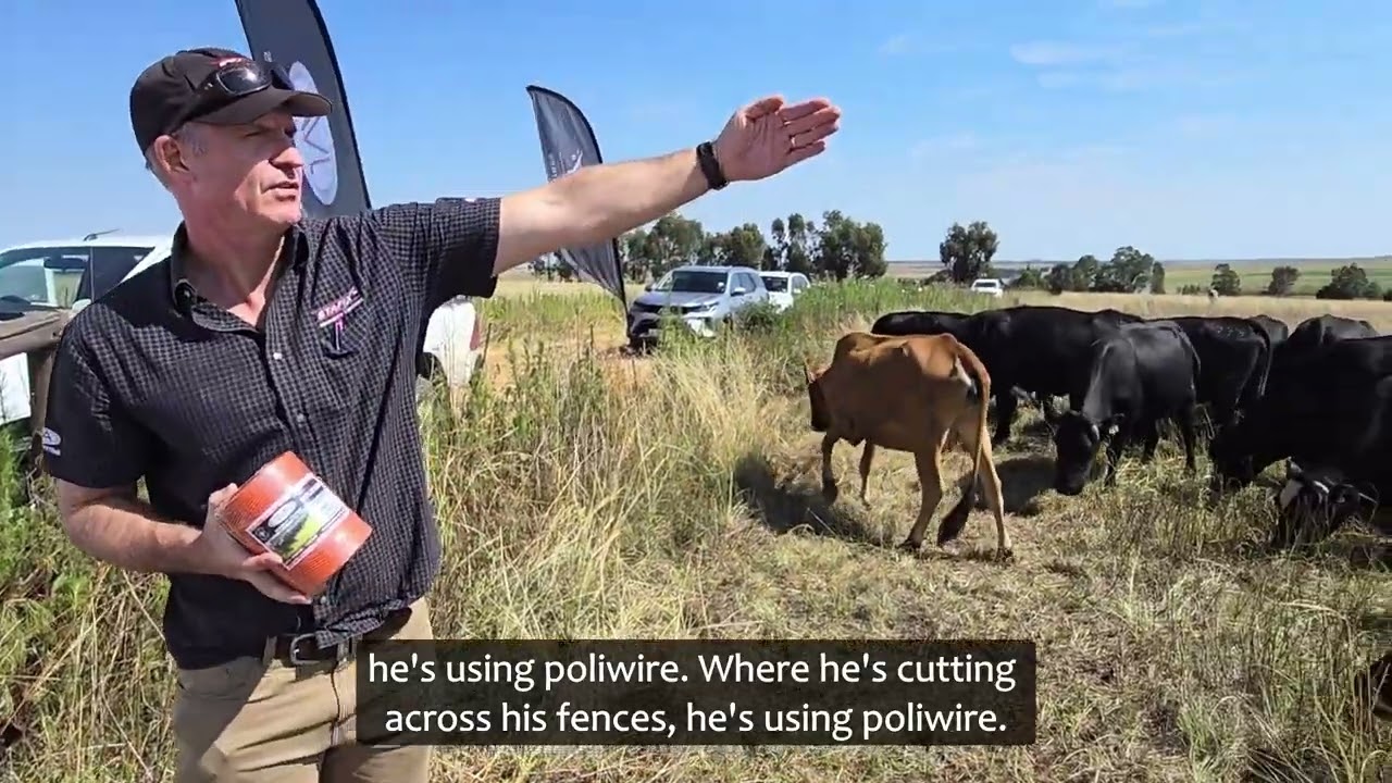 Strip Grazing Practical demonstration