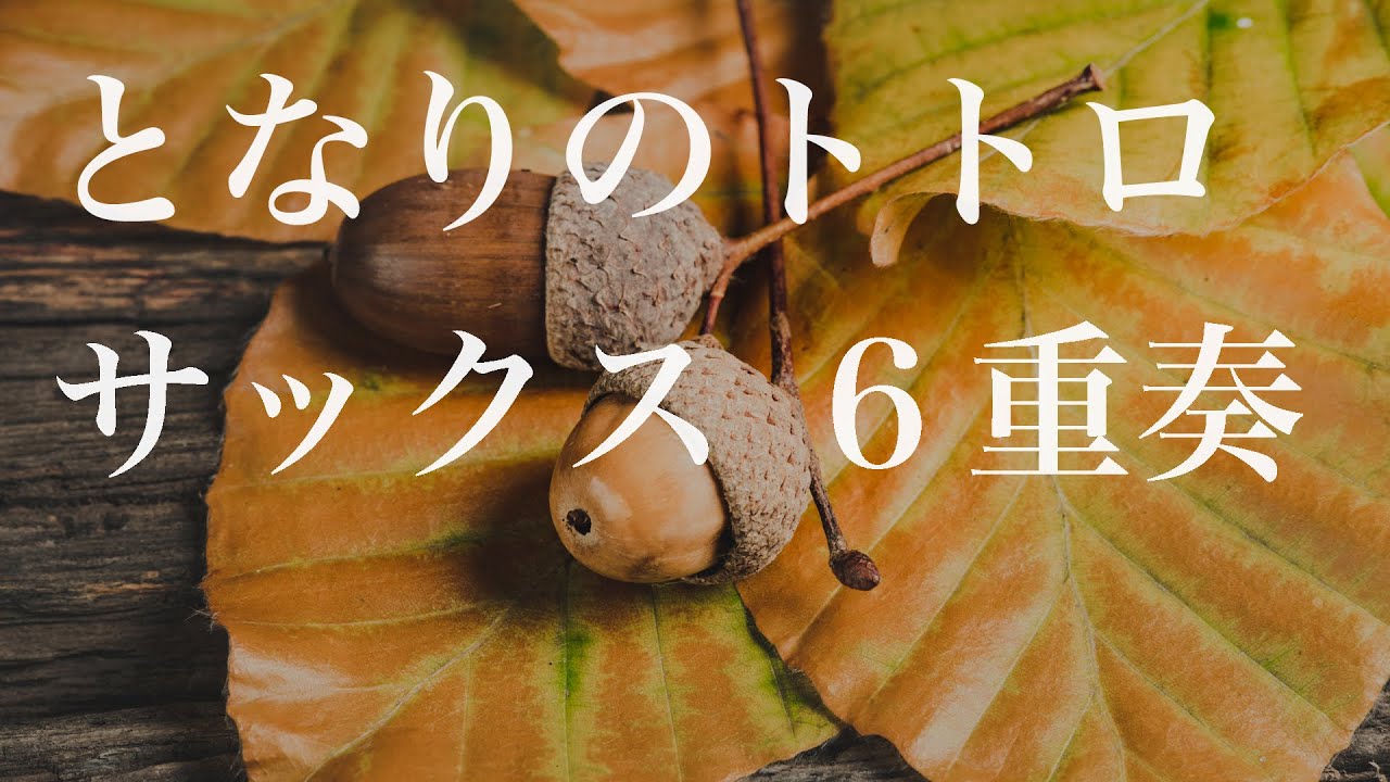 となりのトトロ［6sax］