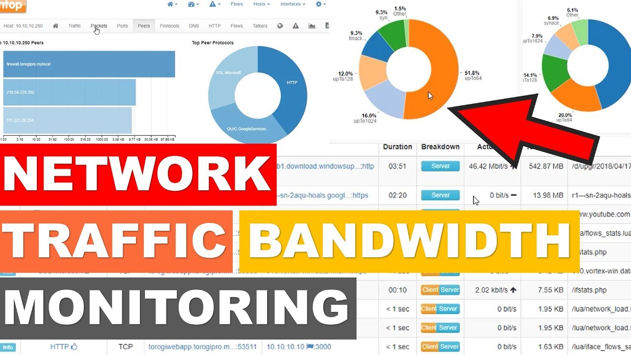 How to Monitor Network Traffic with pfSense and ntopng | Detailed Guide