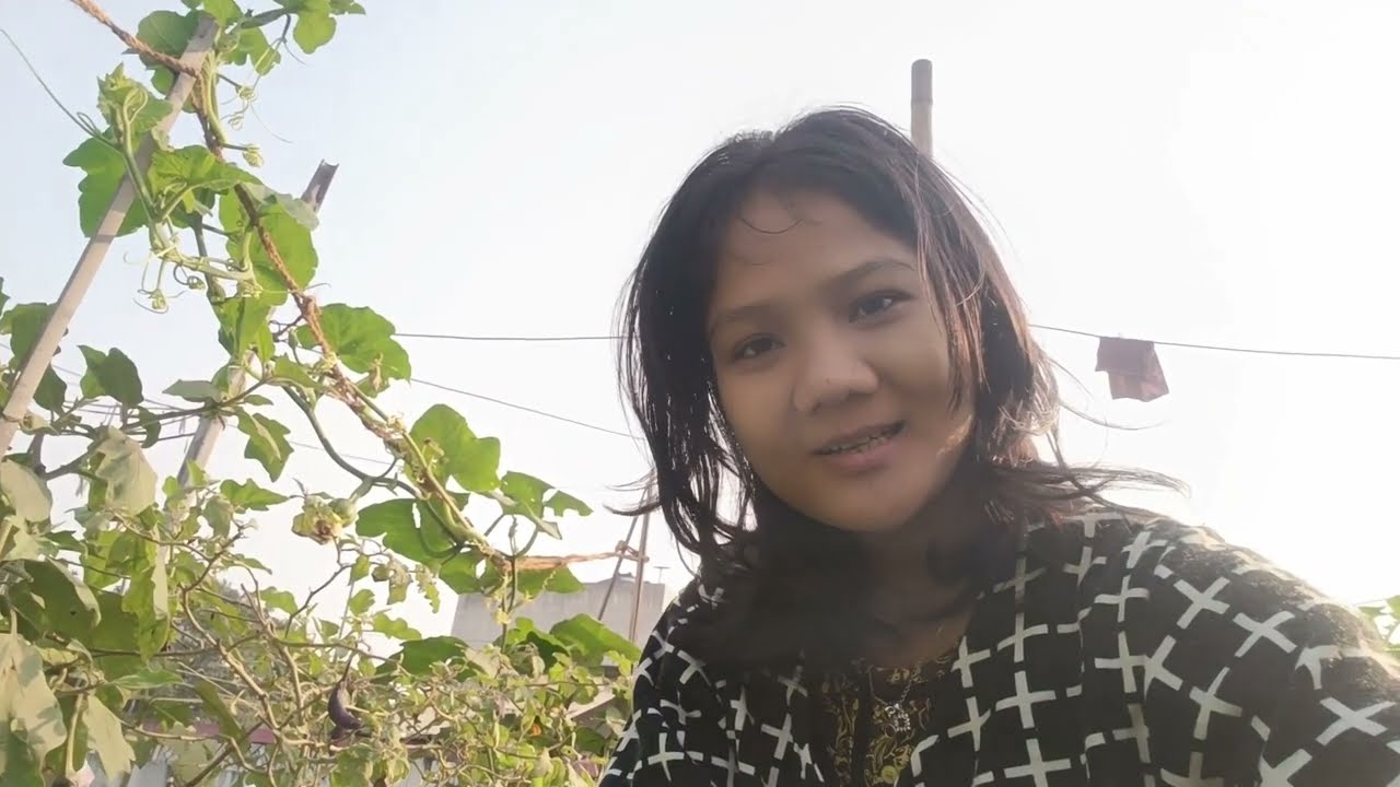 मेरी छोटी सी kitchen गार्डन tour। My small kitchen garden tour part 1.