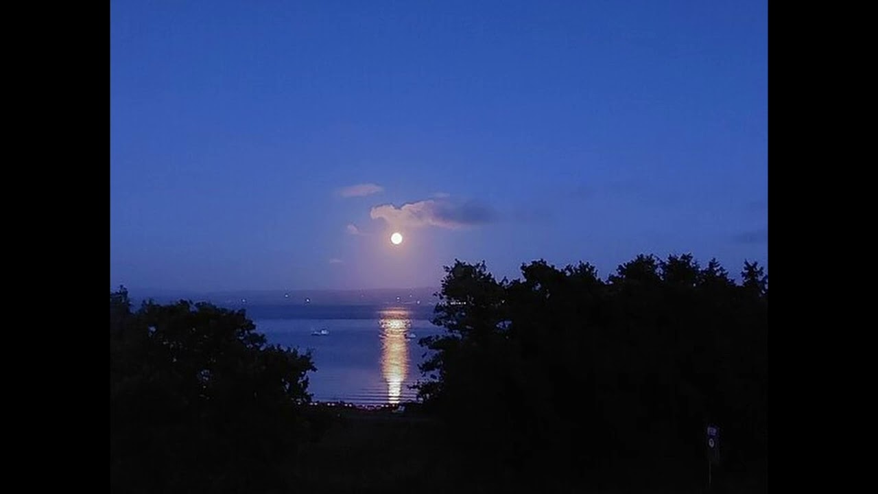 (sold) bon iver X acoustic folk type beat 