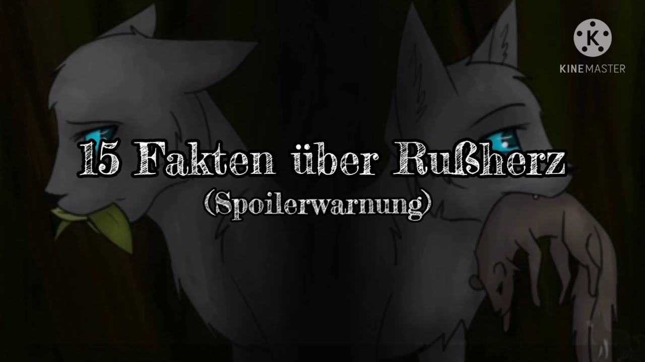 Warrior Cats - Fakten über Rußherz