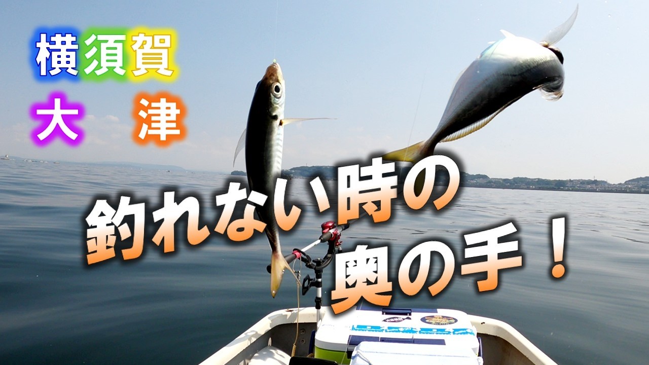 【手漕ぎボートでアジ釣り】天秤餌釣りでタチウオを狙うがアタリなし。早々にアジ釣りに切り替え、２か所のポイントを探ってみるがアタリなし。３か所目で先客がいたので、最後の手段として。