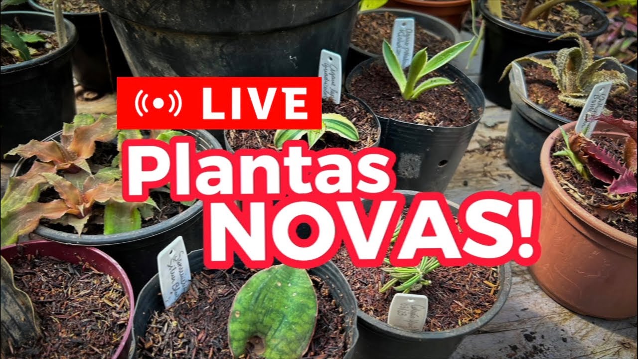 Presentes dos membros do Habitat!