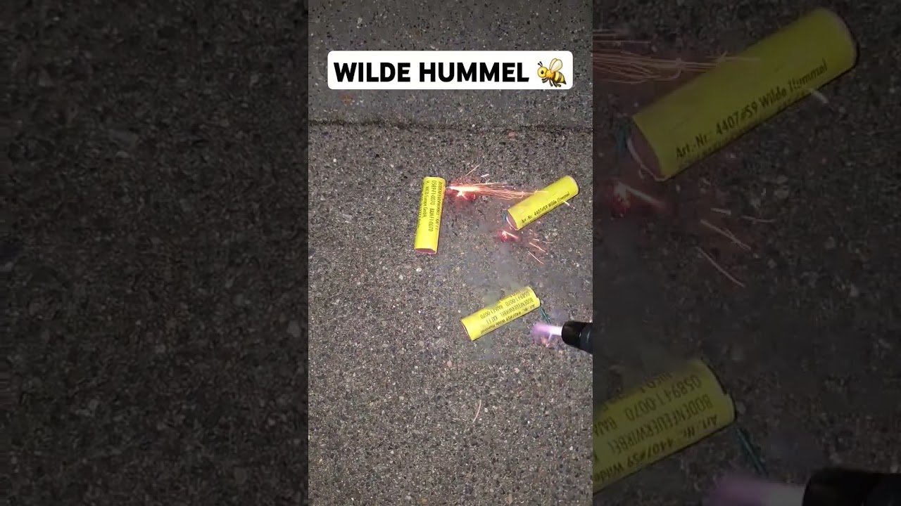 WILDE HUMMEL 🐝 | Nico Feuerwerk | Thomas Philipps 0,65&euro; | #shorts  #fireworks