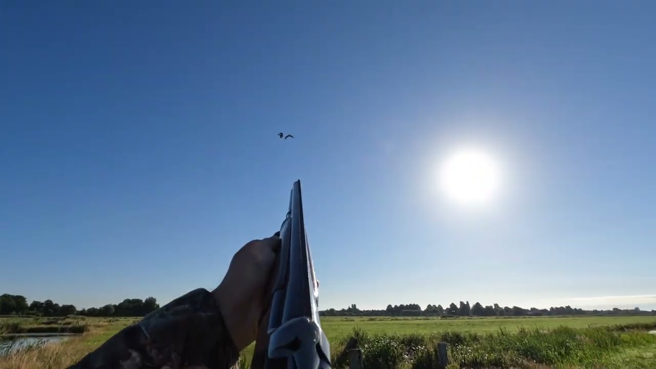 ნადირობა ბატზე და ქედანზე/batze da qedanze/Gooise end Pigeon Hunting