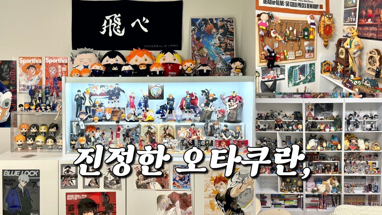 오타쿠 친구 굿즈 고나리하고 거대한 장식장 구경하는 (시끄러운) 영상 l 5개월만의 룸투어, 어떻게 바뀌었을지?
