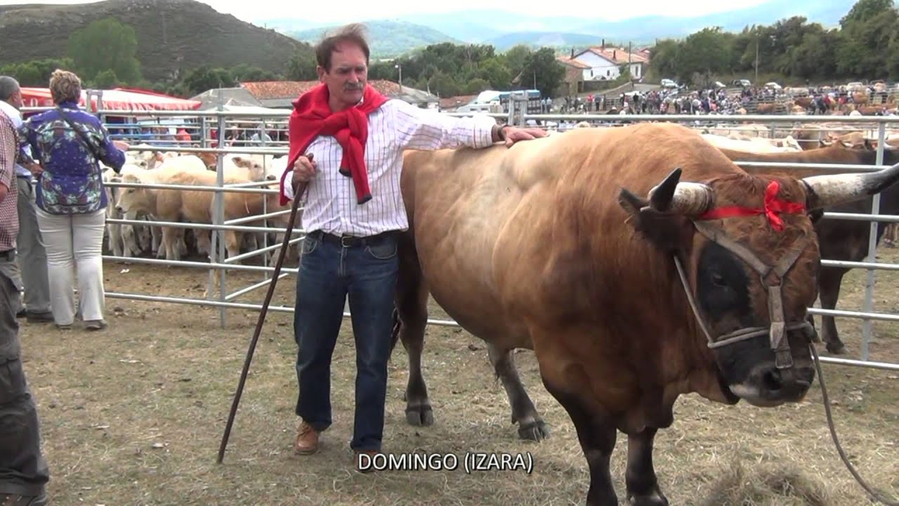 Feria de ganados vacuno y caballar en Espinilla 2014- Campoo de Suso (Cantabria) por dc