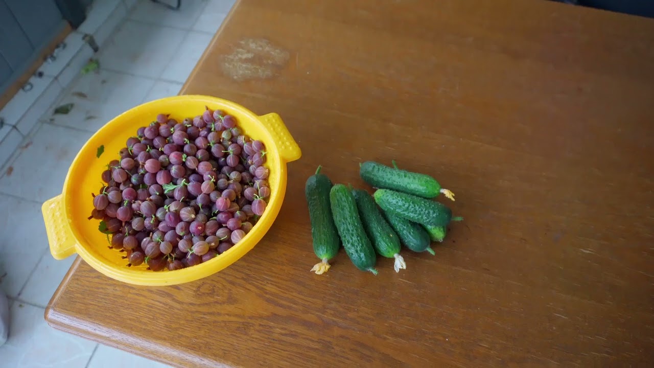 Дача в Германии.  IP камера на дачу.