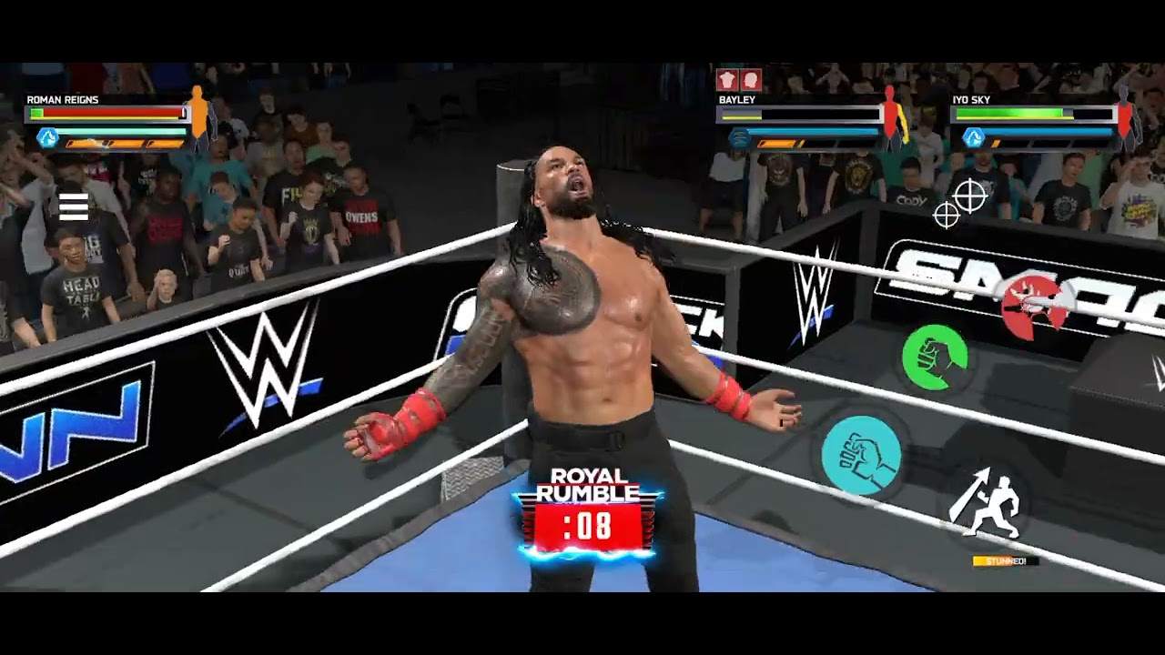 Rloyle Rumble Match WWE b.