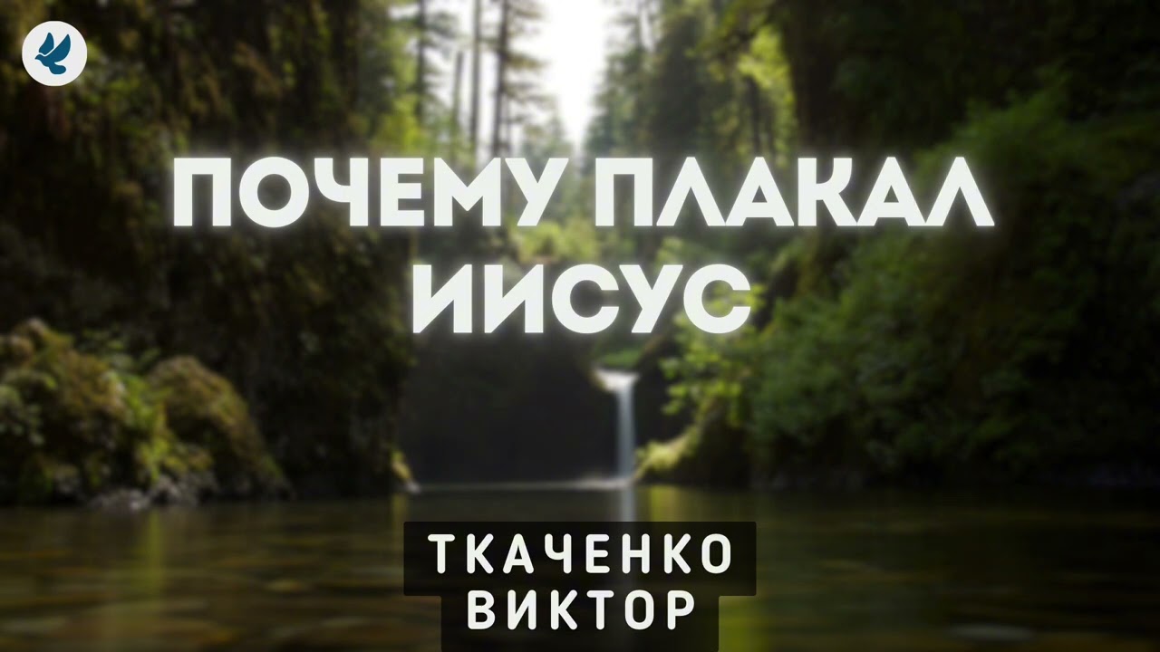 Почему плакал Иисус. Ткаченко В.И. Проповедь МСЦ ЕХБ