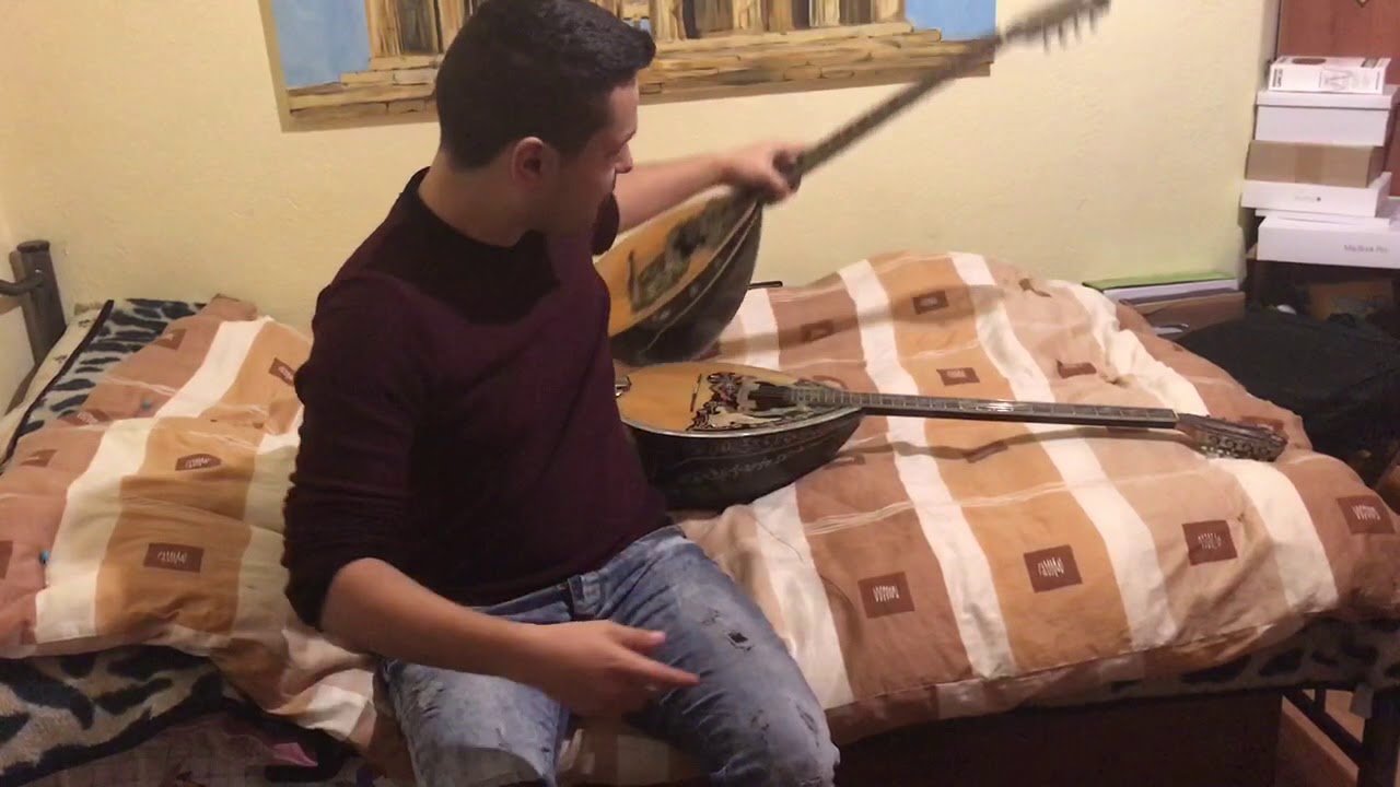 Morfopoulos Συγκριση Οργανων