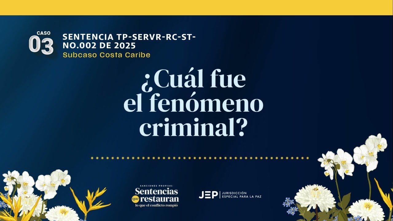 ¿Cuál fue el fenómeno criminal que documentó la JEP? | Caso 03
