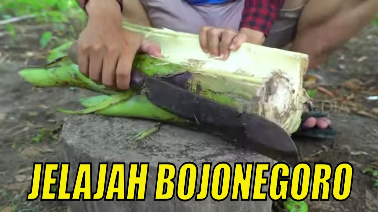 JELAJAH BOJONEGORO | JEJAK ANAK NEGERI (25/11/21)