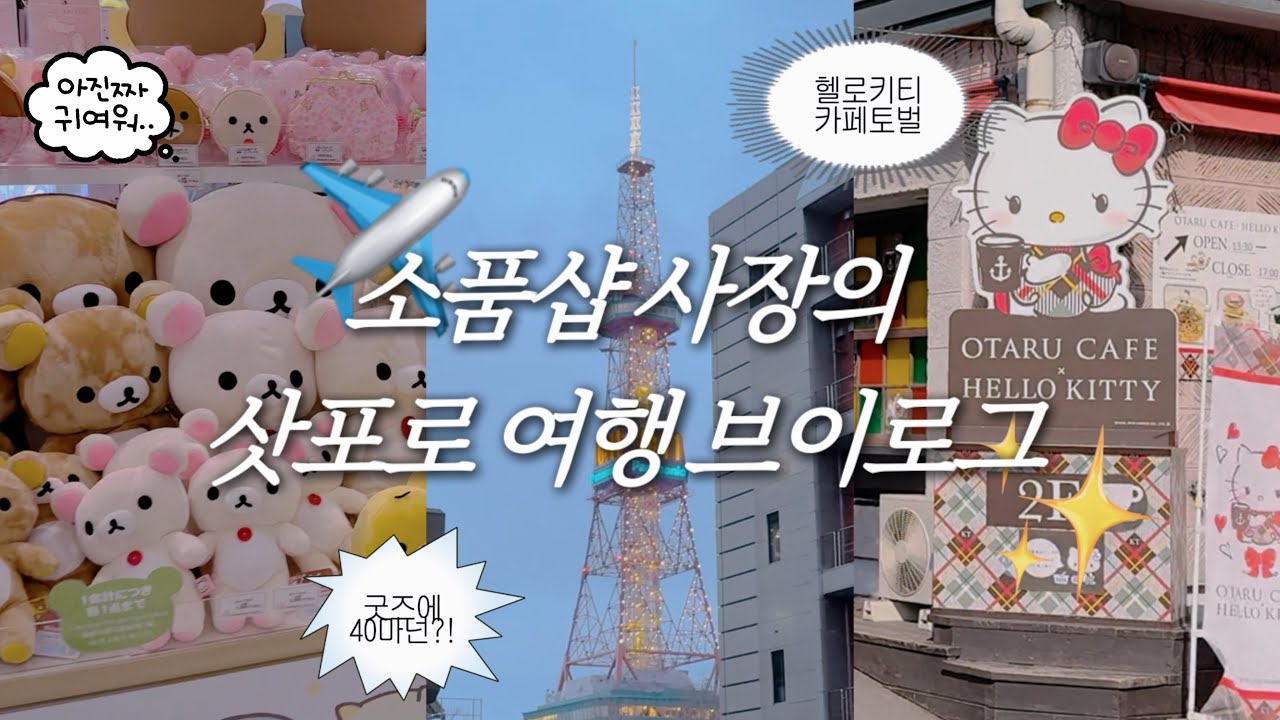 [VLOG] 공항에서만 굿즈에 20만원 써버린 소품샵 사장님의 삿포로 3박 4일 여행 - 산리오샵 | 리락쿠마 스토어 | 오타루 헬로키티 카페 | 삿포로 맥주 | 삿포로 양고기