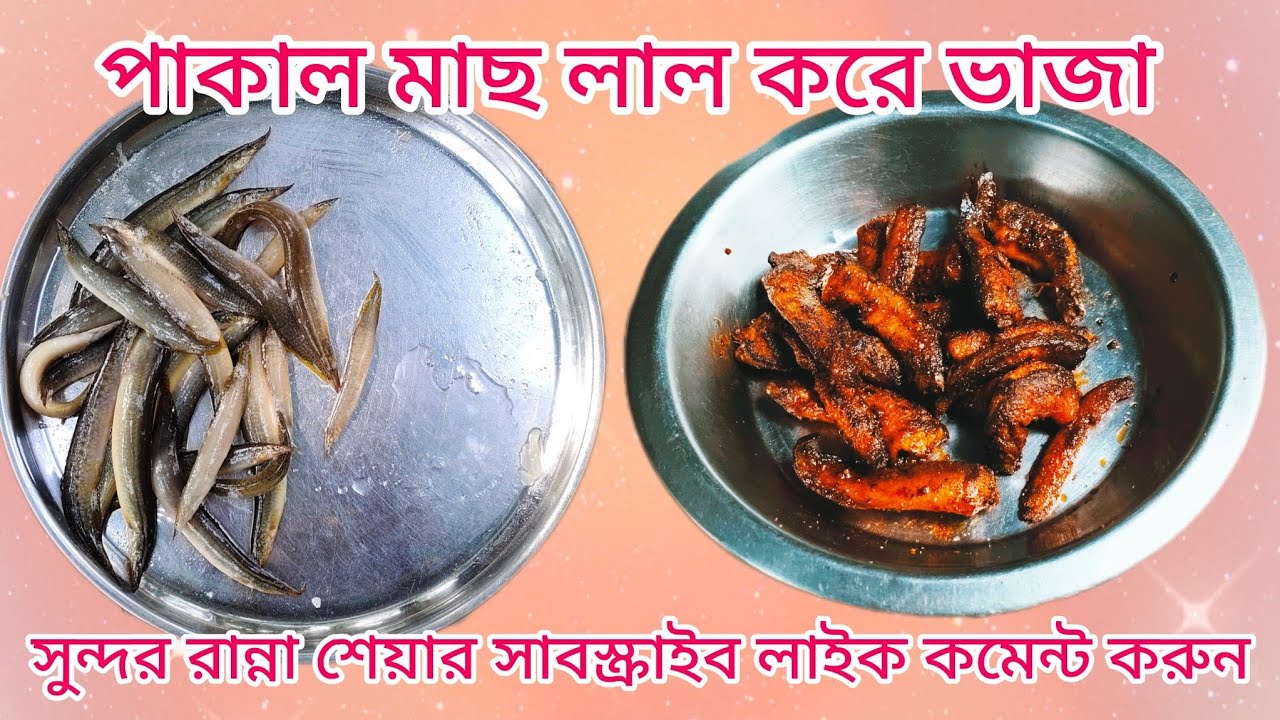 পাকাল মাছের ভাজা লাল লাল করে #cooking #song #santanarrannaghar #recipe #mela #goparrannaghor #funny 