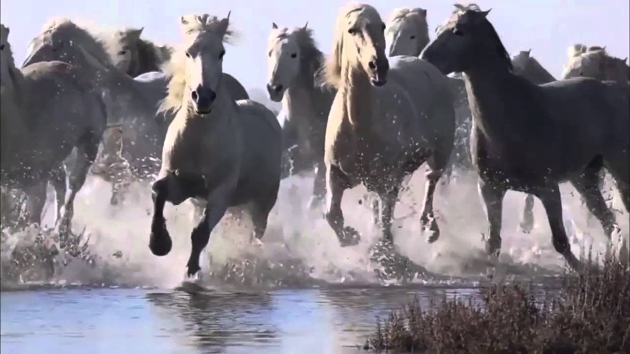Demis Roussos - Come Waltz With Me