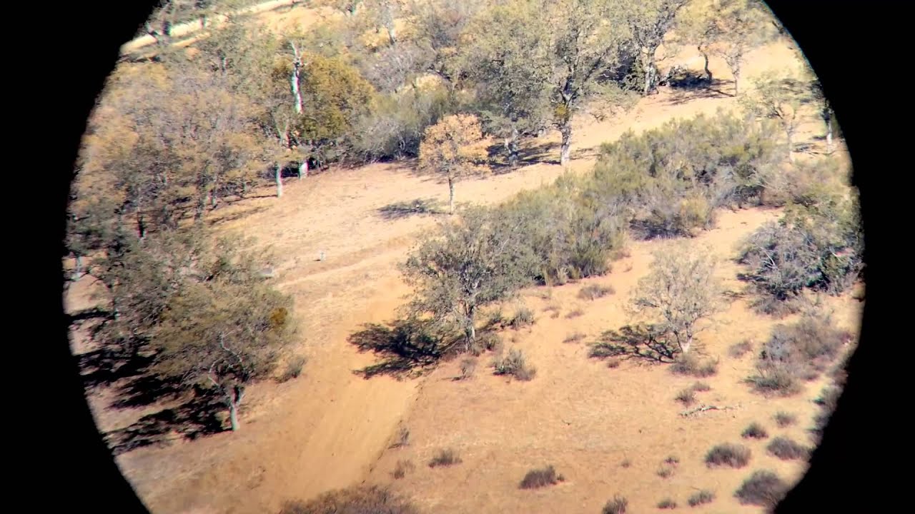 1000yd popper hit