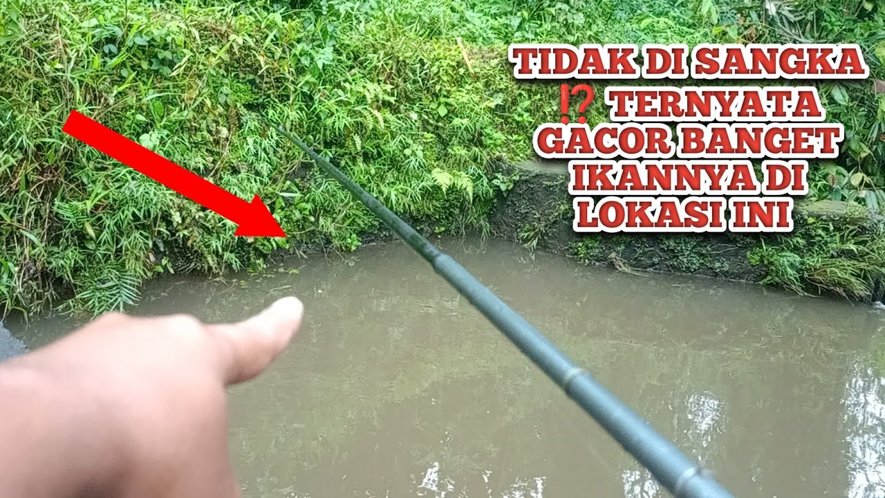 SPOT MANCING PALING GACOR TERBARU ❗❗ TAK BISA BERKATA KATA SPOT MANCING PALING GACOR DAN NOL NIL 