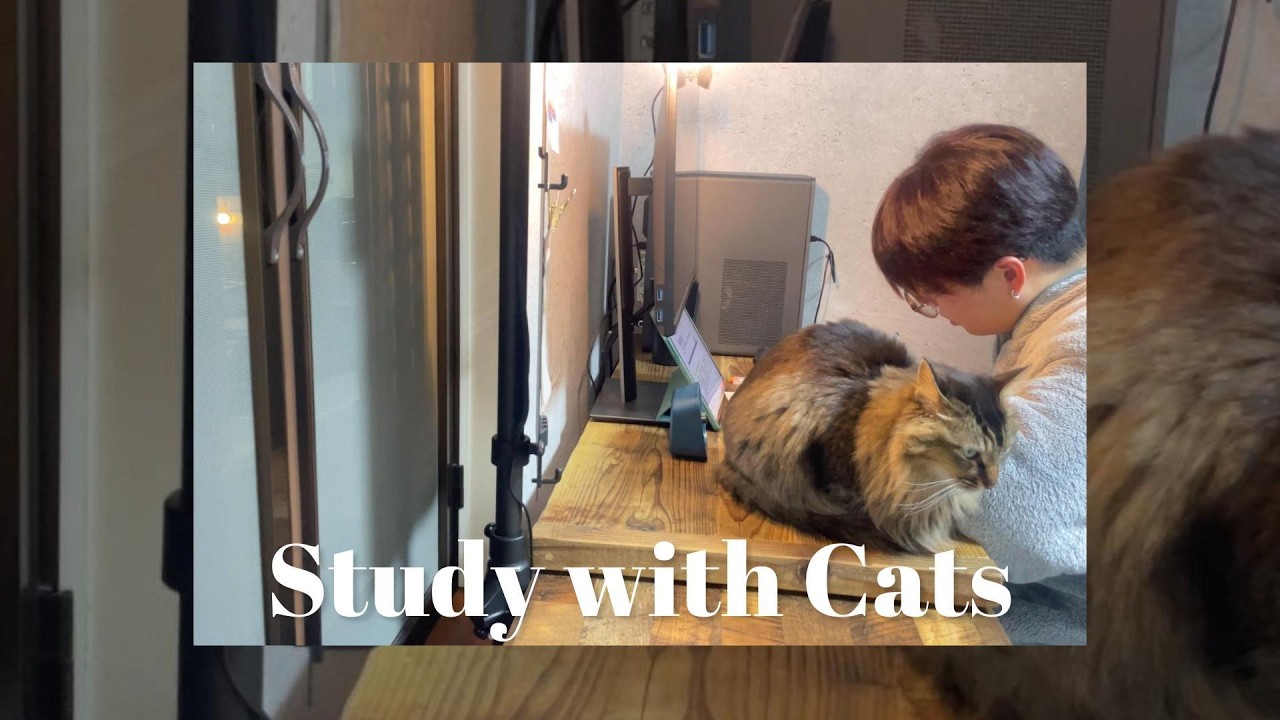 【Study with me】FP3級｜猫と一緒に勉強する1時間｜60min / No Music / ASMR