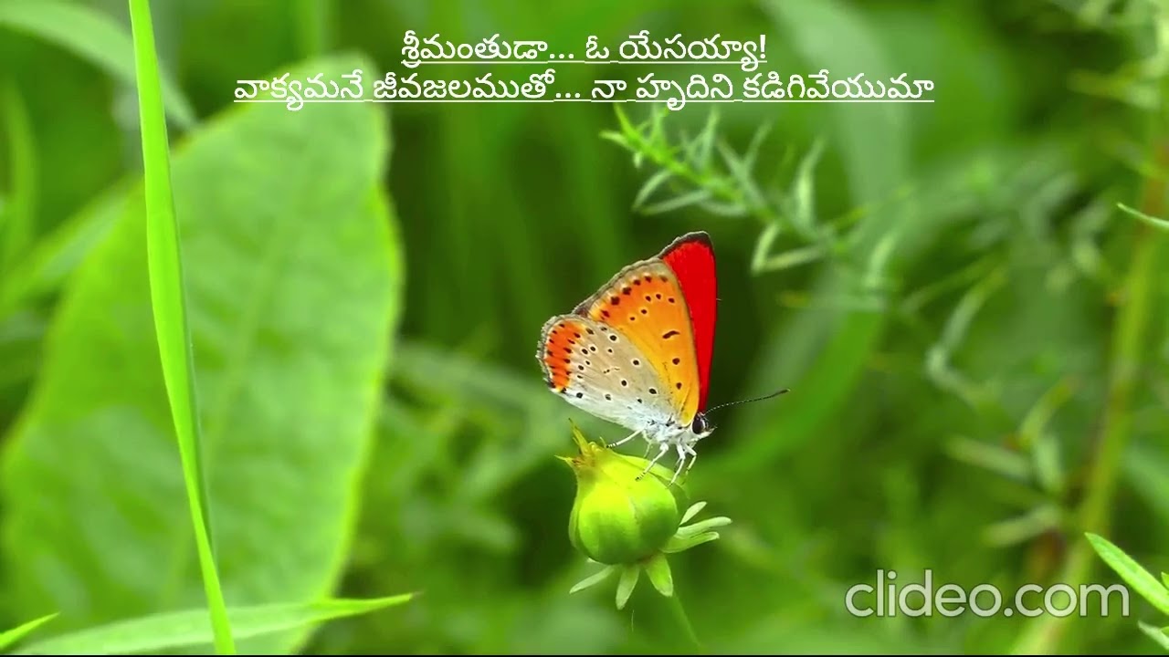 శ్రీమంతుడా... ఓ యేసయ్యా!శ్రీమంతుడా... ఓ యేసయ్యా!వాక్యమనే జీవజలముతో... నా హృదిని కడిగివేయుమా...!