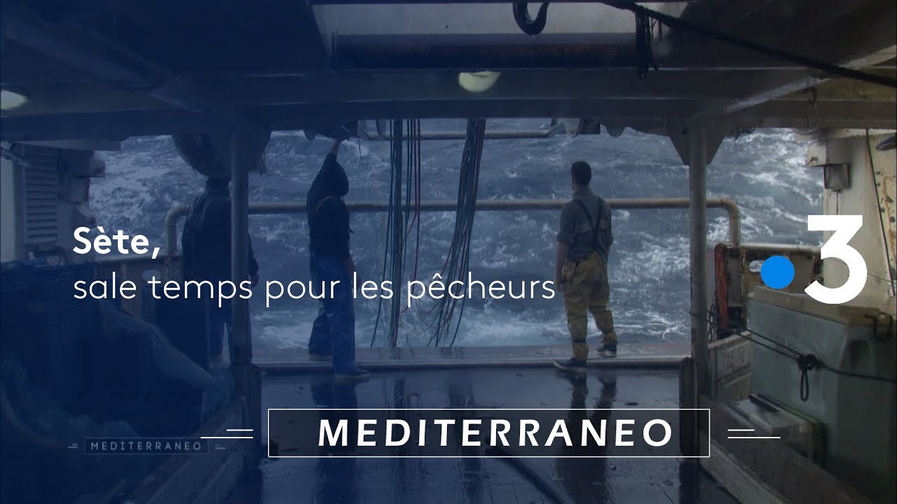 Sète, sale temps pour les pêcheurs