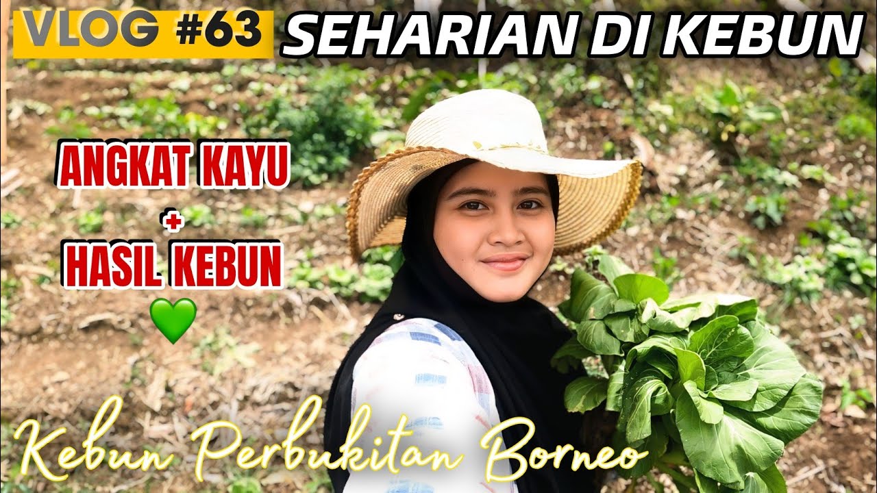VLOG #63: SEHARIAN DI KEBUN | ANGKAT KAYU, PINDAH TANAM SAWI PUTIH DAN PANEN SAYUR 🥬