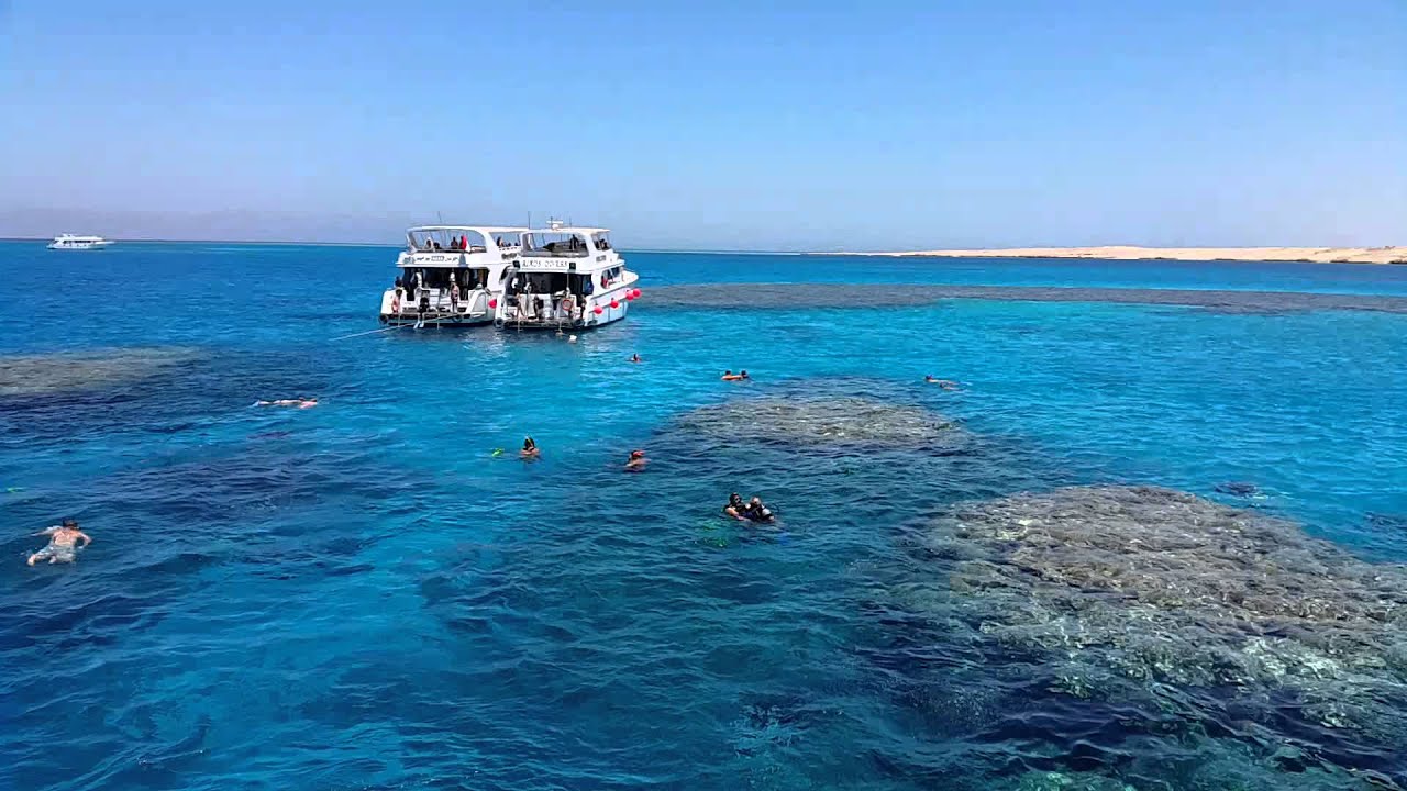 Thomas Reef Tiran Island Sharm El Sheikh 2015