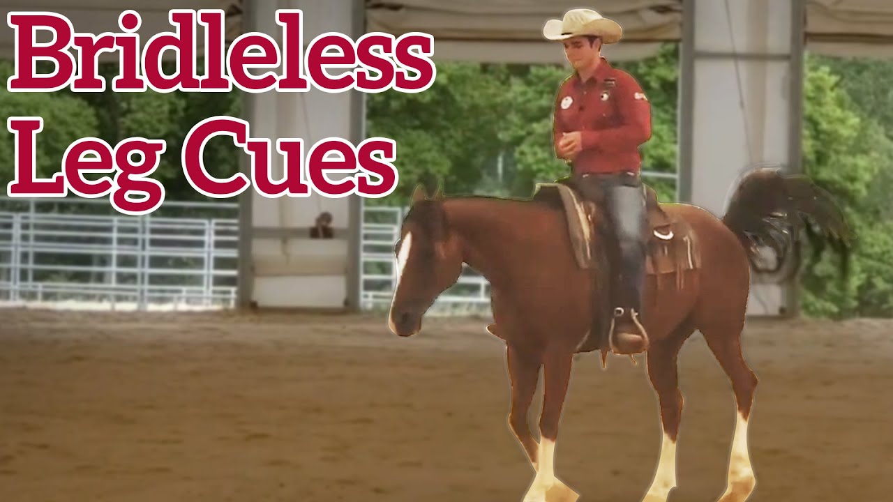 Leg Cues for Riding Bridleless