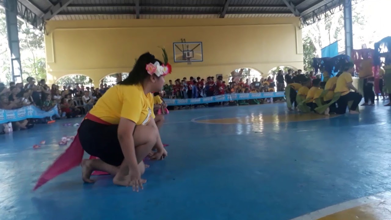 💛Yellow Ravens Dance 💛