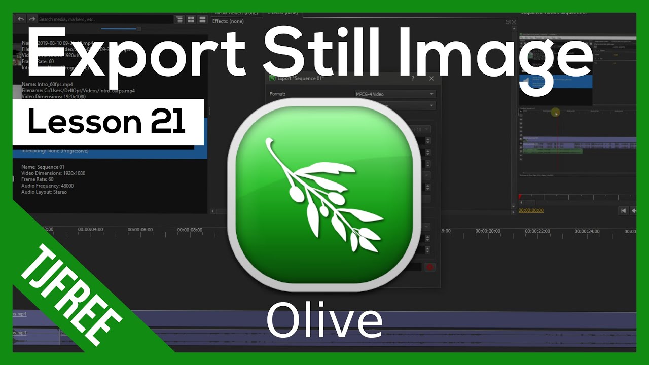 Olive Lesson 21 - Save video frame as image (freeze / pause)