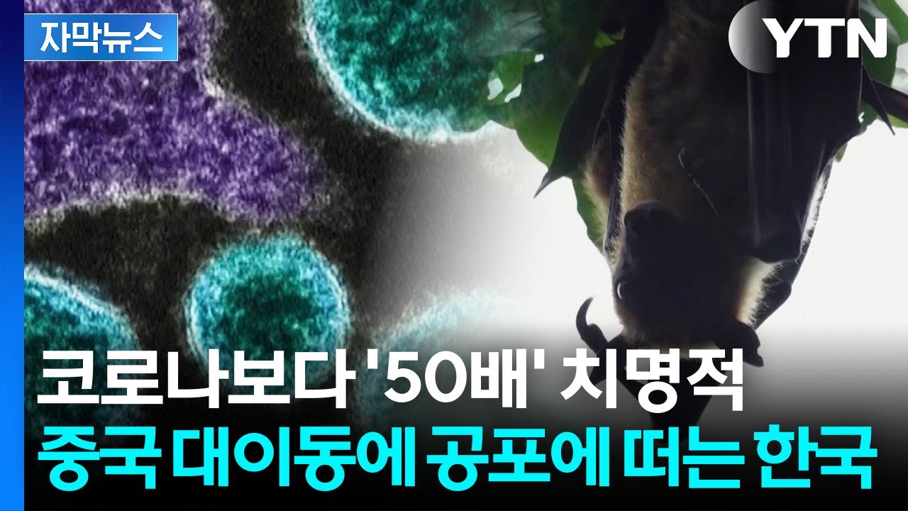 [자막뉴스] 백신도 없는 '죽음의 바이러스'...중국 대이동에 한국까지 '비상' / YTN
