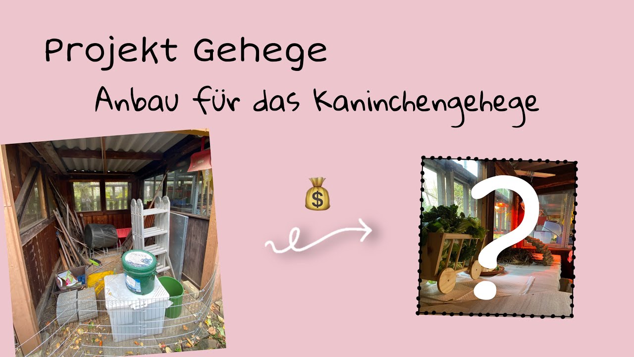 Erweiterung Kaninchenstall | Anbau | Vlog
