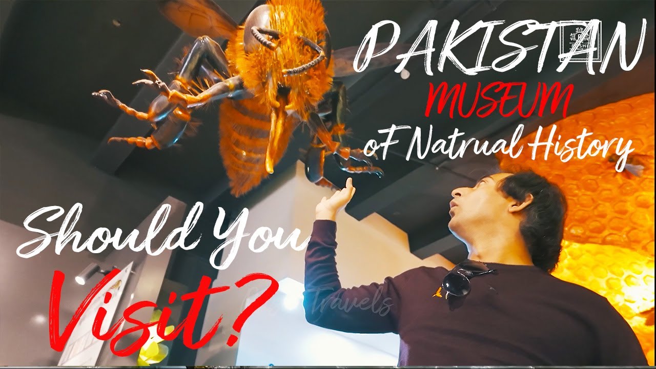 All Explained. Is it worth it for 50 Rs to visit Pakistan Museum of Natural History?