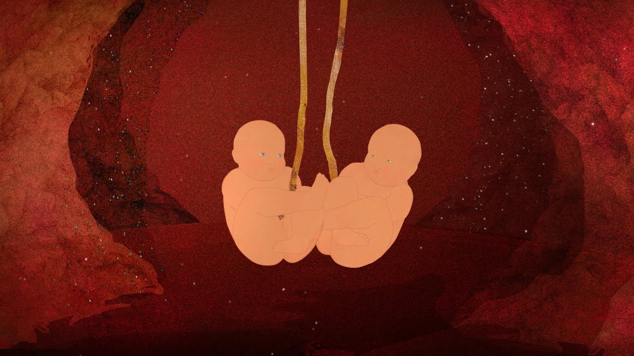 Two Twins Debate Life Before Birth | The Afterbirth (Animated Short)