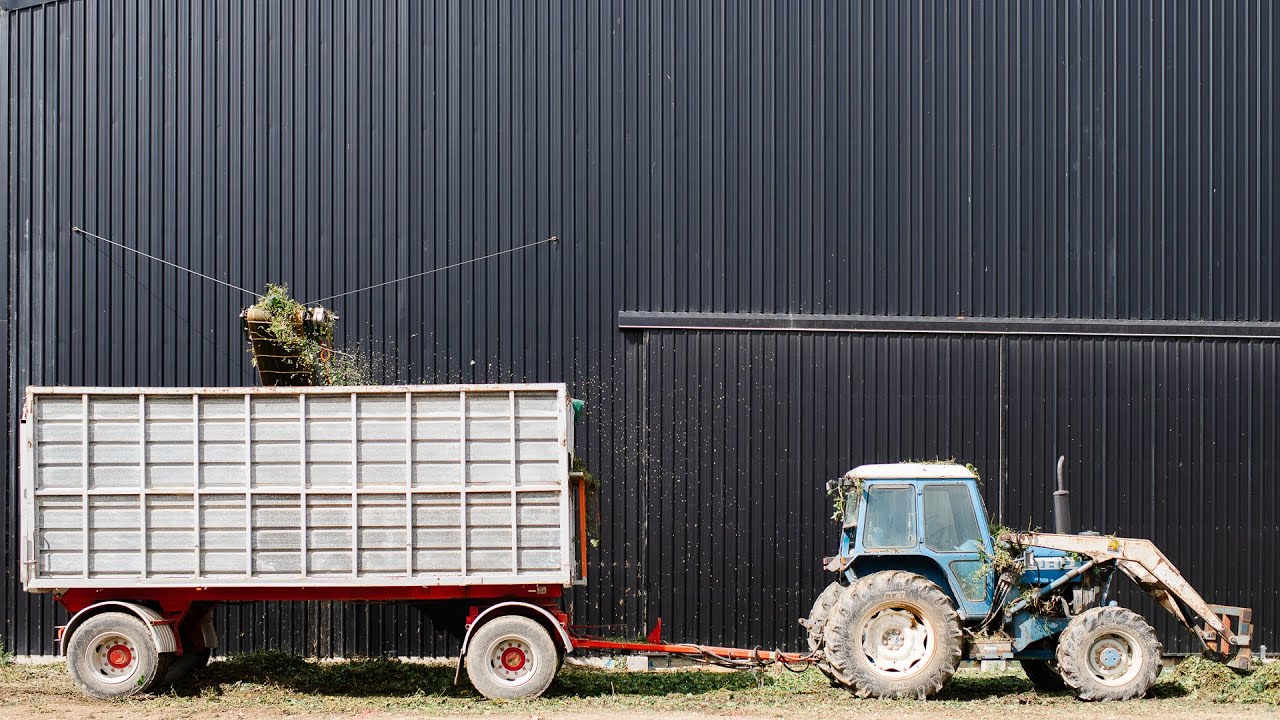 New Zealand Hops Hop picking and processing by Clayton Hops NZ